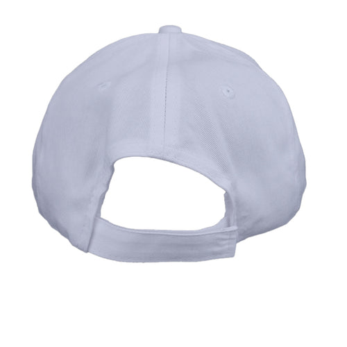 Silver - CP80 - BACK